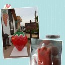 반석농장 이미지