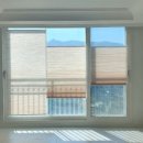 송파하남블라인드