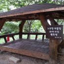 주록리계곡 루돌프 이미지