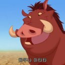 하쿠나마타타 네이버블로그