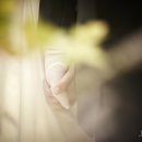 신화웨딩 - 남구 남중로 82 | 신화웨딩