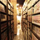 낄낄고양이 이미지