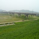 금강교옆 공원 이미지