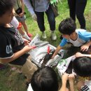 평리초등학교 이미지