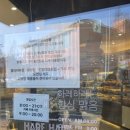 문정초등학교 | 대전 빵지순례 하레하레 둔산점 빵종류 두바이종류 또간집1등 천하제빵 아기의자 내돈내산 후기