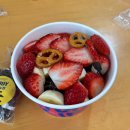 케이포닉스 | 겨울방학이 끝났다고?