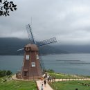 바람의 언덕 이미지