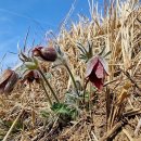 한재공원 이미지