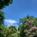 추가네추어탕 이미지