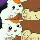 라이즈 카페 이미지