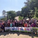 홍천시티투어 이미지