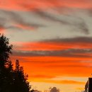 금빛 민박 이미지