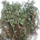 선학초등학교 이미지