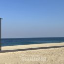 천진sea 네이버블로그