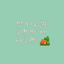 아우노펠리스