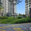 타임대광로제비앙공인중개사사무소 이미지