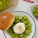 토러스농장 이미지