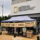 에버스포츠일산덕이점 | 일산단체의류 단체복주문 내셔널지오그래픽 일산덕이점 후기