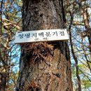 청명 141 이미지