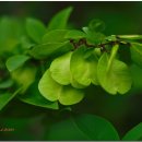 박상진1로R 이미지