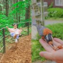 청태산목장 | 강원도 평창 횡성 1박2일 가족여행코스추천 청태산자연휴양림