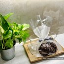 동백에어 B&B | [제주 조천 숙소] 제주 감성숙소 독채펜션 에어비앤비 추천::제주 비안