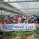 정정순농장 이미지