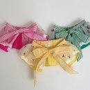 Groomer Ameri 이미지