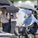 브레드바바 이미지