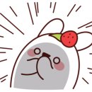 시가82 이미지