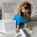 하늘땅물 공작소 | [리뷰] &#39;생활공작소 롤클리너&#39;(돌돌이) 솔직 사용 후기 | 반려동물 키우는 집에 추천!
