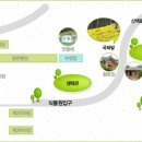 들꽃세상 이미지