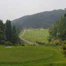 블루웰빙 네이버블로그