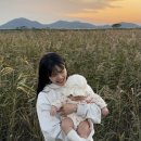 제24회 순천만 갈대 축제(10월중) | 순천만습지 입장료 할인, 갈대 축제 일몰시간 추천