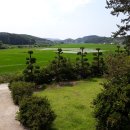 세동농장 이미지
