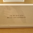 나비잠 피부관리실