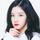 프리스틴 카카오 검색결과