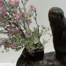 수원-1754 이미지