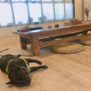 제주언니 이미지