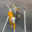 멍린이집 | Good Bye 2024