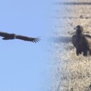 송내목장 이미지