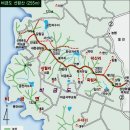 비금 성치산성 Daum카페