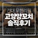 고향 | 건대 양꼬치 무한리필 고향양꼬치 솔직후기 | 주차