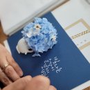 악필교정 쉽게 배우는 캘리그라피 이미지