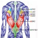 에이프 이미지