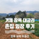 바닷가언덕 | 대금리 토지 임장 후기- 거제 장목 바닷가 언덕 위 나 홀로 주택 임장