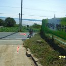 농산초등학교 티스토리