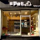 샵펫 강아지분양 울산점 이미지