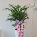 문구세차장 이미지