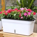 나의 작은 정원-홈 가드닝 | 간편 자동 급수 화분 추천 플라스틱 베란다 텃밭 상추 채소 키우기 후기